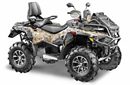 Снегоболотоход STELS ATV850 (PE) (Многоцветный (коричнево-черный))